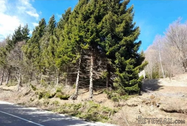 Prodaja parcela na Goliji (gradjevinsko zemljiste sa dozvoljenom gra - 7