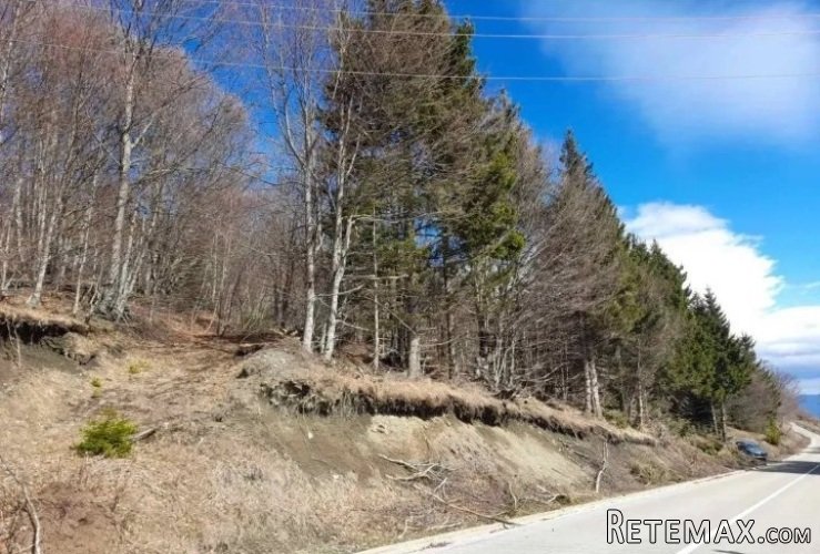 Prodaja parcela na Goliji (gradjevinsko zemljiste sa dozvoljenom gra - 8