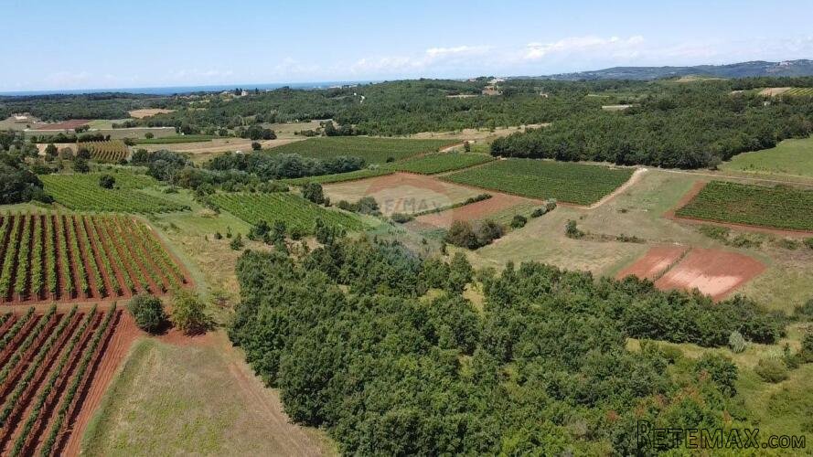 Istra, Vižinada, poljoprivredno zemljište 10286 m2