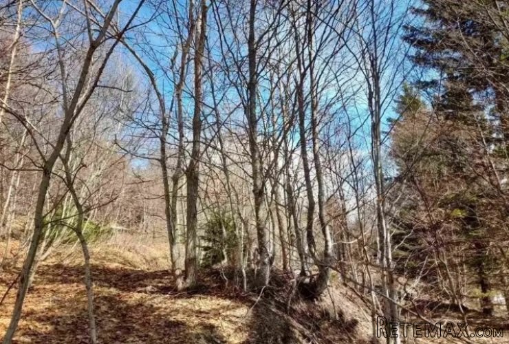 Prodaja parcela na Goliji (gradjevinsko zemljiste sa dozvoljenom gra - 9