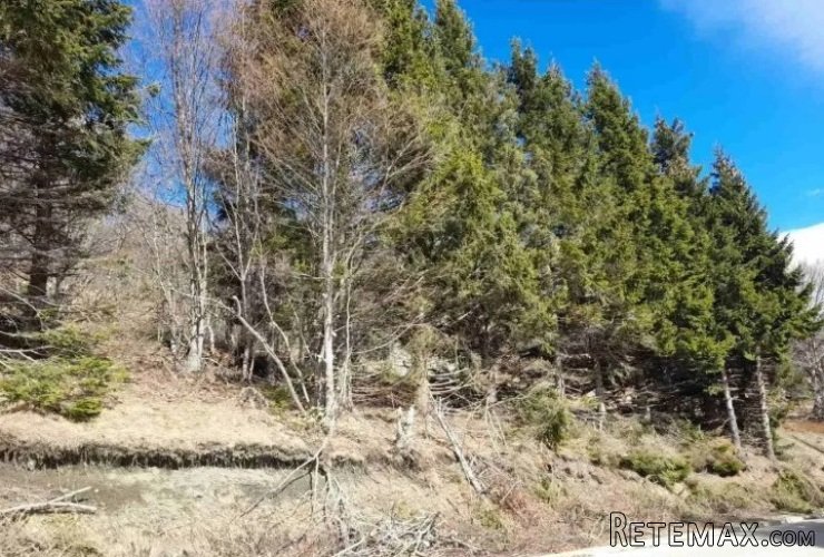 Prodaja parcela na Goliji (gradjevinsko zemljiste sa dozvoljenom gra - 10