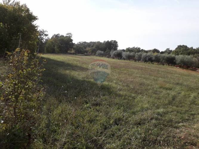 ISTRA,DIVŠIĆI građevinska parcela - 2