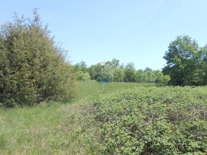 Istra, Krnica, veliko poljoprivredno zemljište - 4