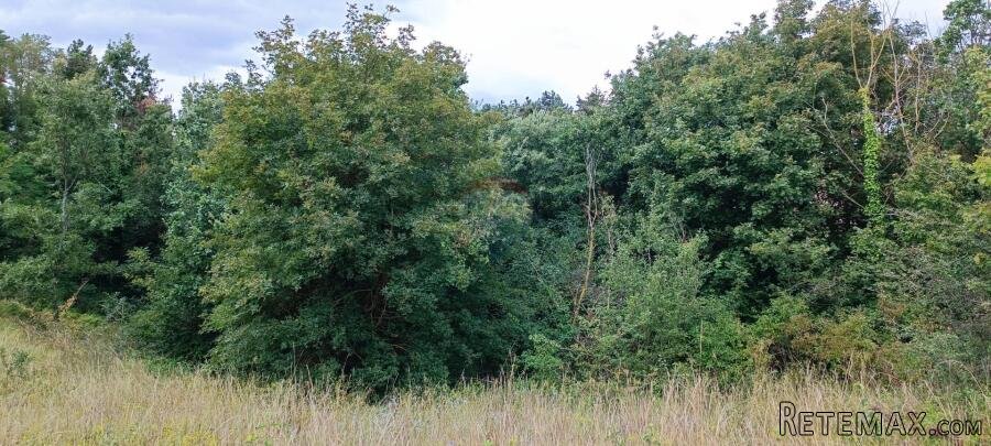 Istra, Žminj, Građevinsko zemljište 1953 m2 na lijepoj lokac