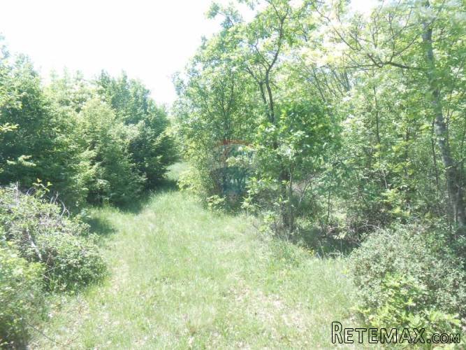 Istra, Krnica, ogromno poljoprivredno zemljište - 2