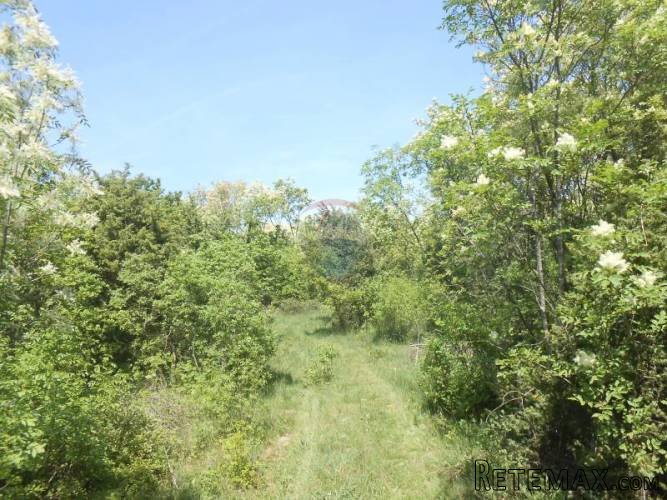 Istra, Krnica, ogromno poljoprivredno zemljište - 3