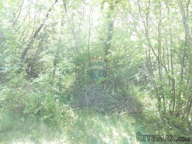 Istra, Krnica, ogromno poljoprivredno zemljište - 5