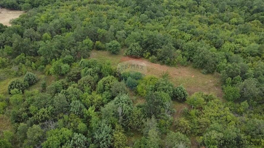 Istra, Poreč- Okolica Poreča poljoprivredno zemljište