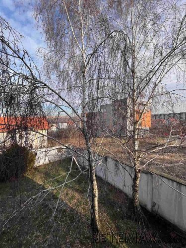 Kuća prodaja Cvetanova ćuprija 480m2 - 6