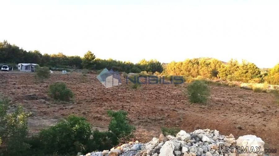 Šibenik, Vodice, građ. zemljište 15988 m2, maslinik, vl.. - 7