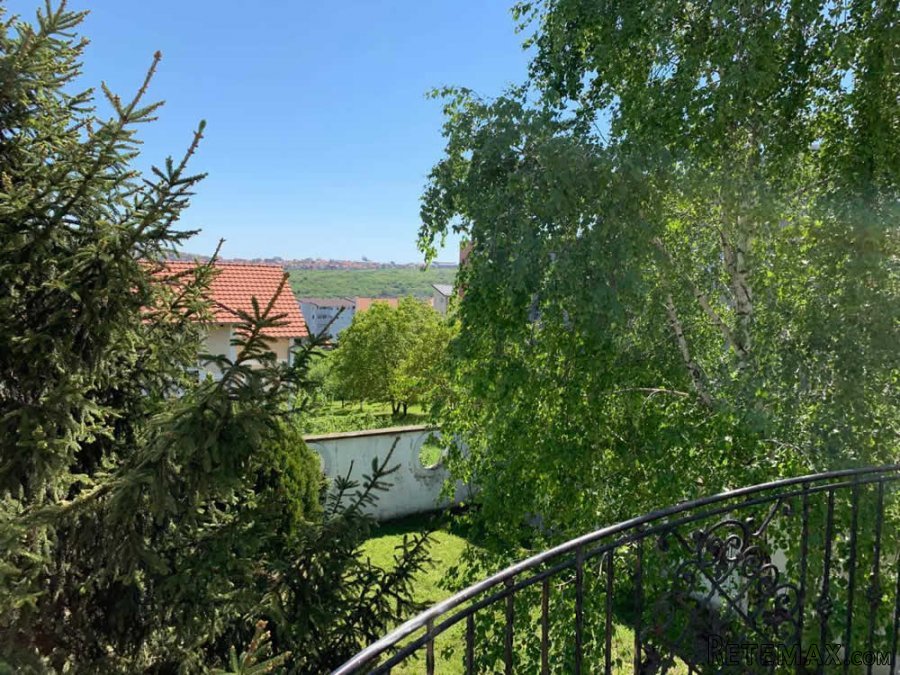 Kuća prodaja Cvetanova ćuprija 480m2 - 7