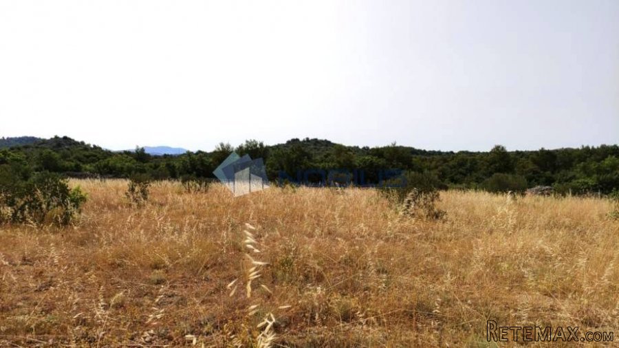 Šibenik, Vodice, građ. zemljište 15988 m2, maslinik, vl.. - 10