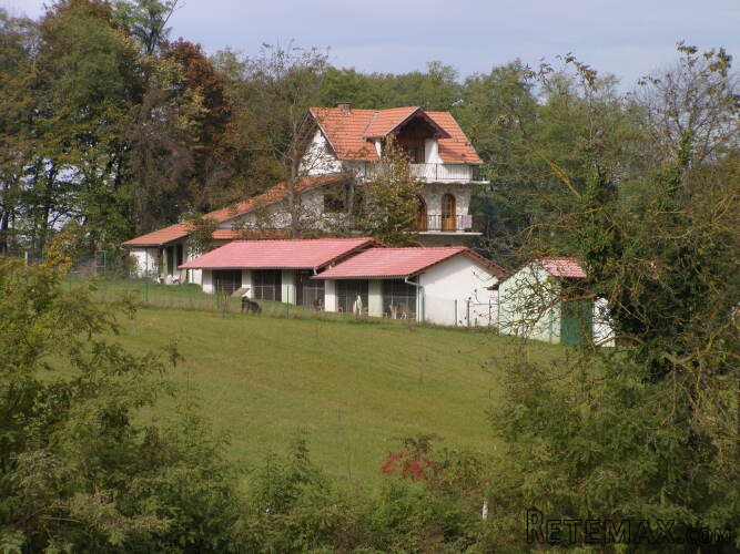 Kuca Đurđevac sa okucnicom 20.000m2 i pomocnim objektima