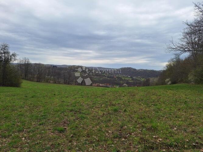 Veliko i uredno sa dosta šume