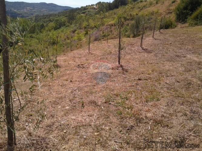 Grimalda, poljoprivredno zemljište 22 800m2 - 4