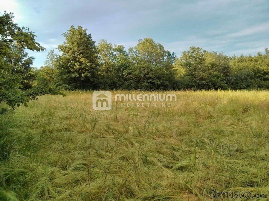 Istra, Labin, poljoprivredno zemljište od 24.999m2 - 2