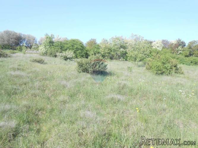 Istra, Marčana, Kavran, parcela na super lokaciji - 3