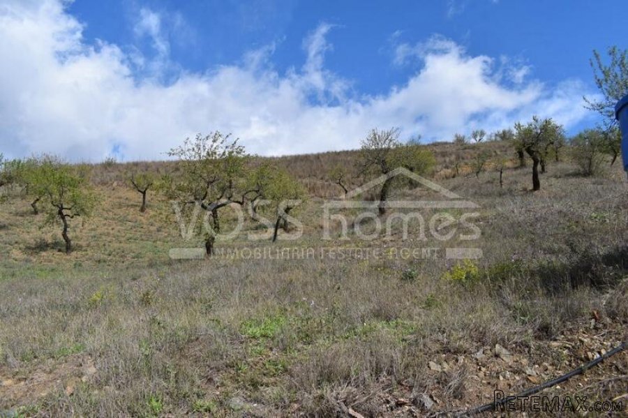 NEW & EXCLUSIVE LISTING TO VOSS HOMES - TWO ADJOINING.. - 15