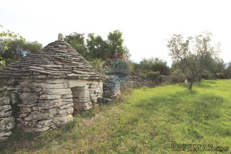 ISTRA, FAŽANA, predivan maslinik s legaliziranim objektom - 2