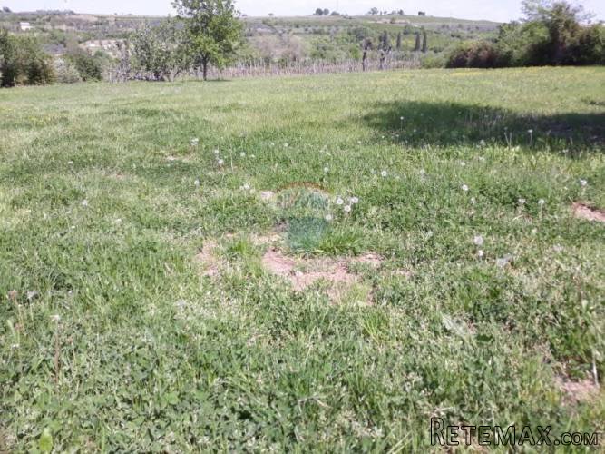 Istra, Brtonigla lijepo građevinsko zemljište