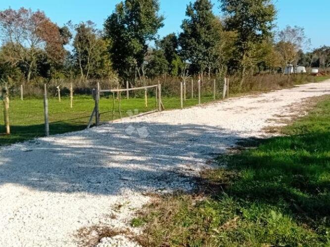 Poljoprivredno zemljište s maslinikom i vinogradom u okolici - 2
