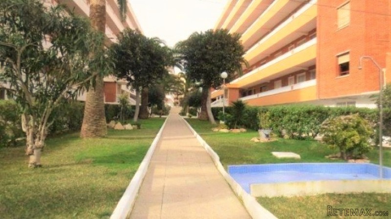 Punta Prima Ideal Renovated 2 Bedrooms.. - 2