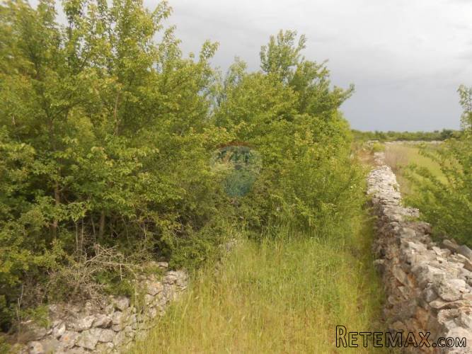 Istra, Vodnjan, Poljoprivredno zemljište u blizini grada