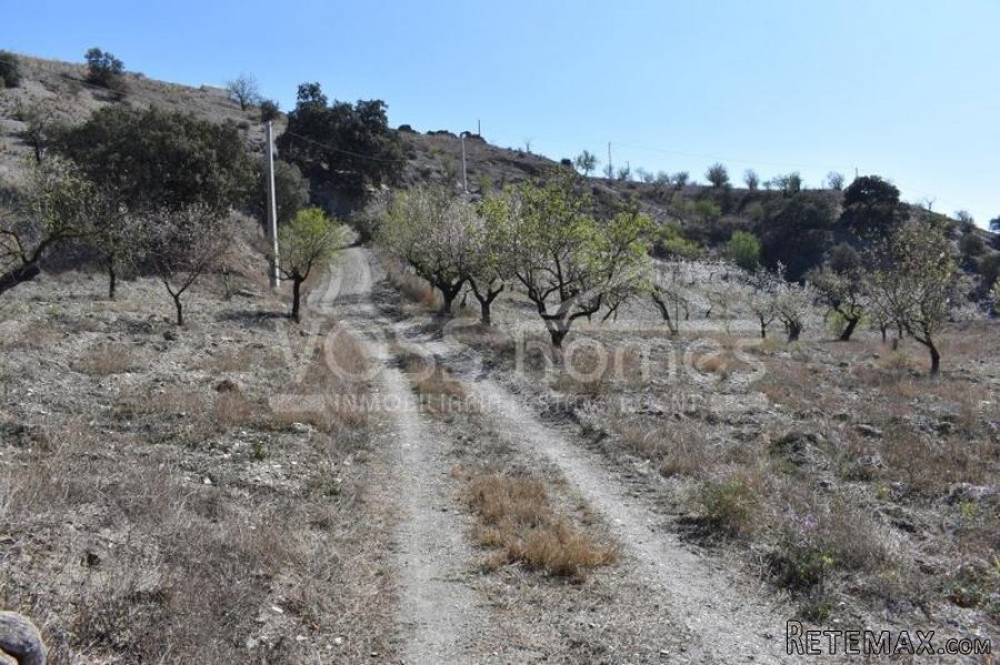 NEW & EXCLUSIVE LISTING TO VOSS HOMES - A impressive 2.. - 7