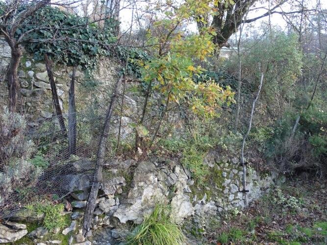 Buzet - veliko poljoprivredno zemljište - 3