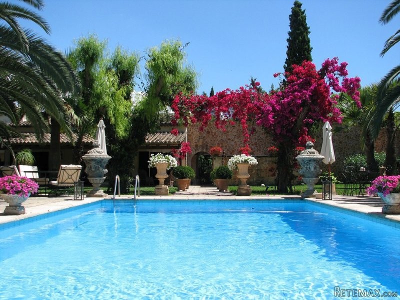 Historic country estate in Binissalem.. - 2