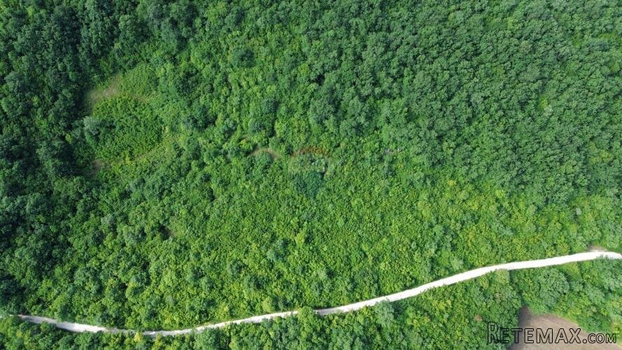 ISTRA, LIMSKI KANAL - Poljoprivredno zemljište 1000 m2 - 3