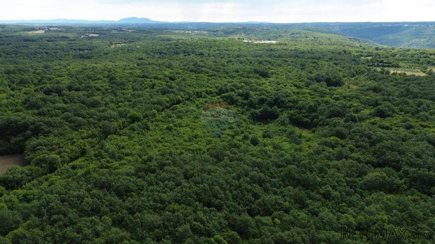 ISTRA, LIMSKI KANAL - Poljoprivredno zemljište 1100 m2 - 2
