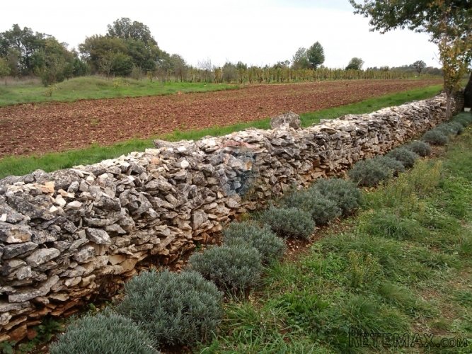 ISTRA,BIBIĆI-ZEMLJIŠTE S LEGALNIM OBJEKTOM - 4