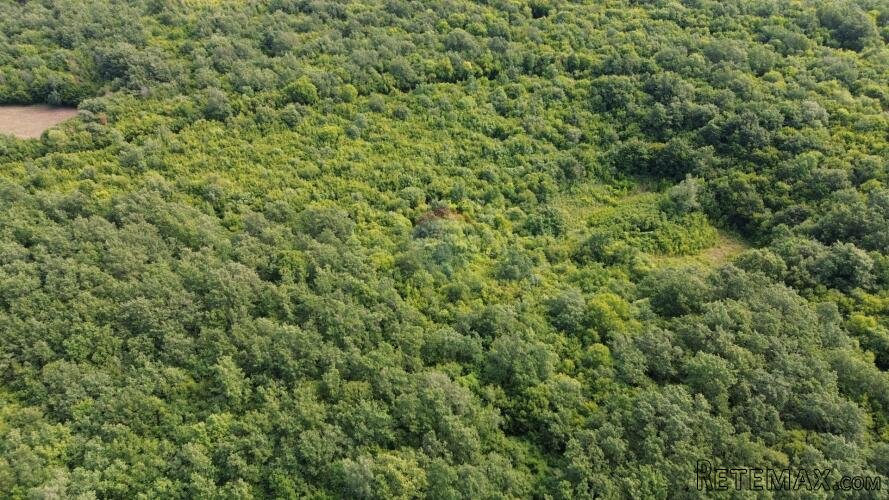 ISTRA, LIMSKI KANAL - Poljoprivredno zemljište 1100 m2 - 3