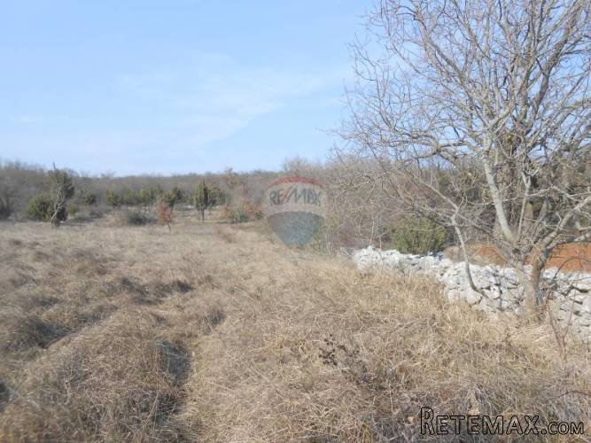 Istra, okolica Rovinja, Sošići, poljoprivredna parcela - 5