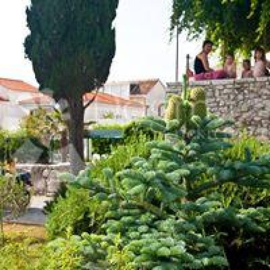 PREKRASNA KAMENA KUĆA U CENTRU PUNTA - 2