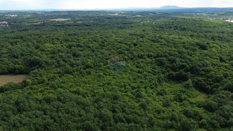 ISTRA, LIMSKI KANAL - Poljoprivredno zemljište 1100 m2 - 3