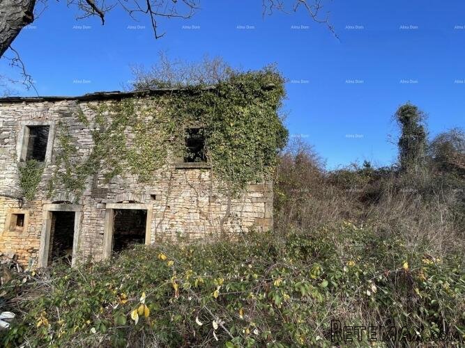 Prodaja - kamena istraska kuća za renovaciju s velikim.. - 3