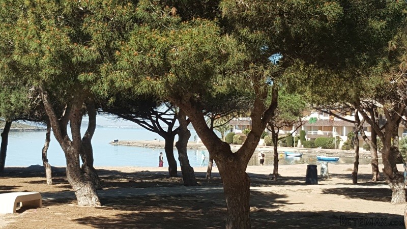 1 Bedroom - Apartment - Murcia - For.. - 2