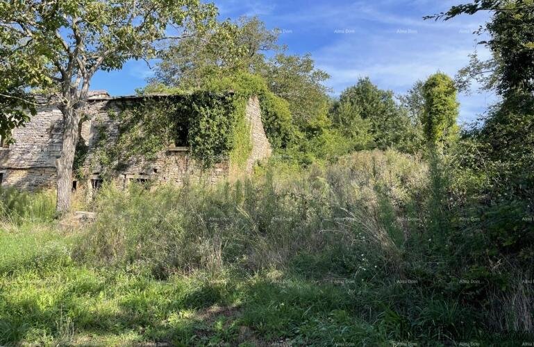 Prodaja - kamena istraska kuća za renovaciju s velikim.. - 4