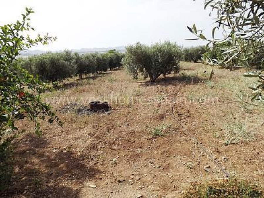 REDUCED - Very attractive, traditionally Spanish Detached.. - 4