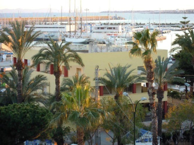 Apartamento ubicado en Torrevieja provincia de Alicante...