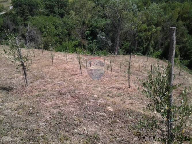 Grimalda, poljoprivredno zemljište 22 800m2 - 3