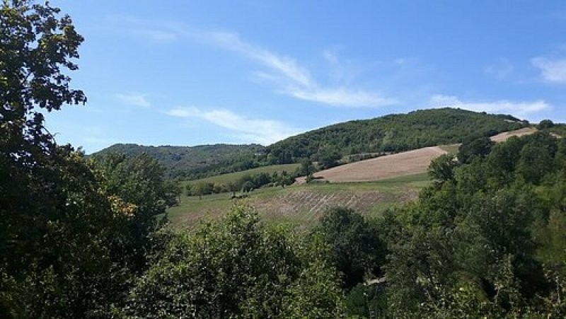 Stunning Detached Stone Farmhouse With.. - 2