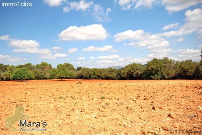 Campos: country estate, plot, land for.. - 2