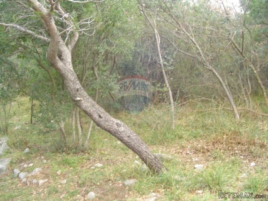 Teren 1199m2 zelena zona 5met do mora - 3