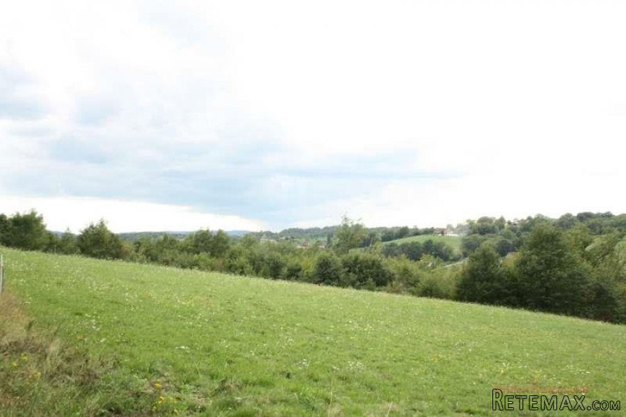 Puy d'Arnac (19) - A large plot of land, with very pleasing.. - 4