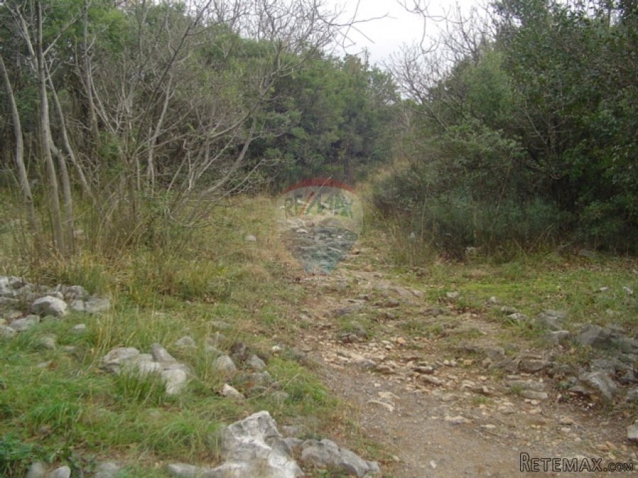 Teren 1199m2 zelena zona 5met do mora - 4