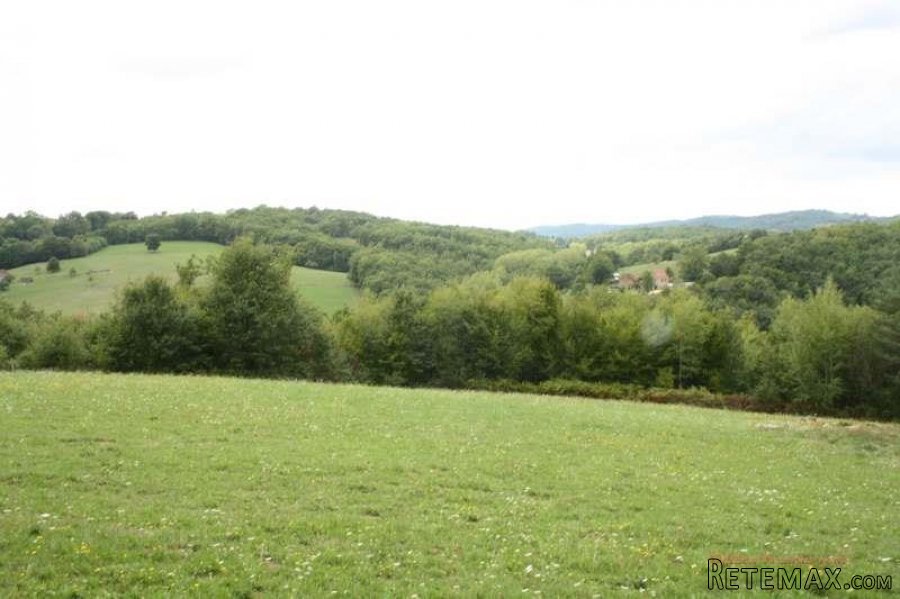 Puy d'Arnac (19) - A large plot of land, with very pleasing.. - 5