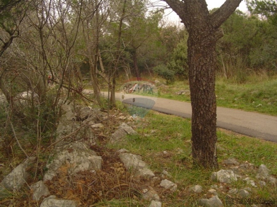 Teren 1199m2 zelena zona 5met do mora - 5